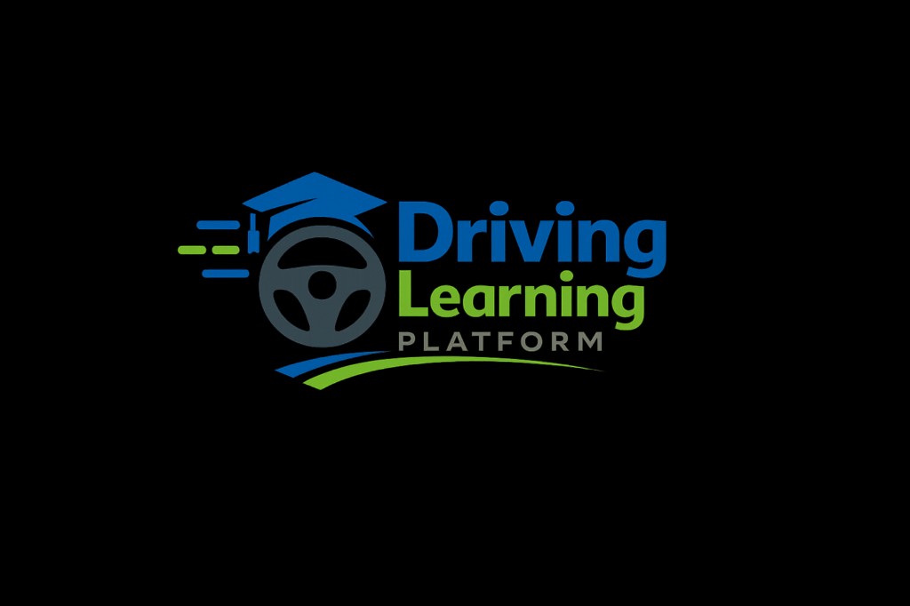Driving Schools project logo